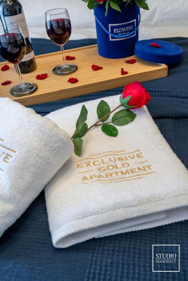 Exclusive Gold Apartment 克拉科夫 外观 照片